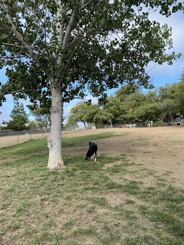 Rancho Bernardo Dog Park