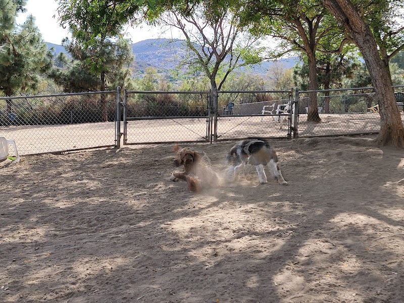 Rancho Bernardo Dog Park