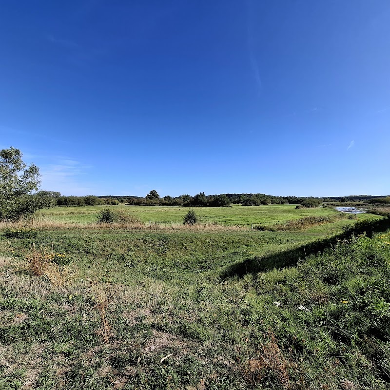 Webbekom broek vogelspottoren