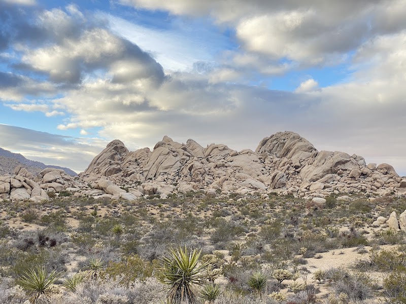 Mojave Trails National Monument