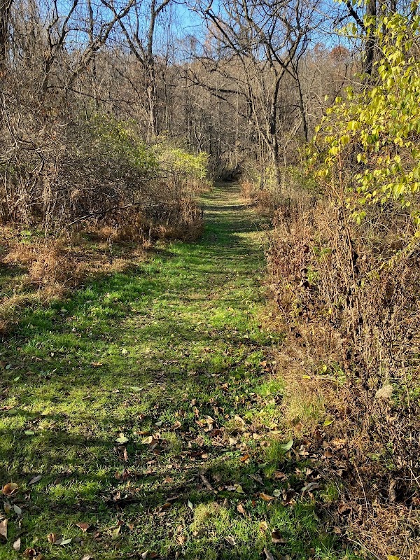 Wizard Ranch Nature Preserve