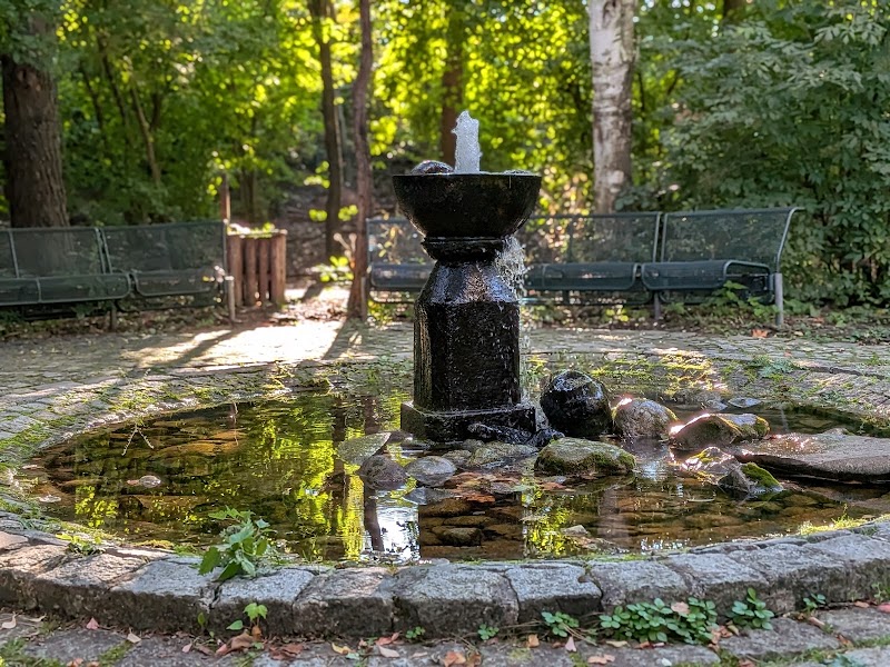Springbrunnen am Kieferngarten