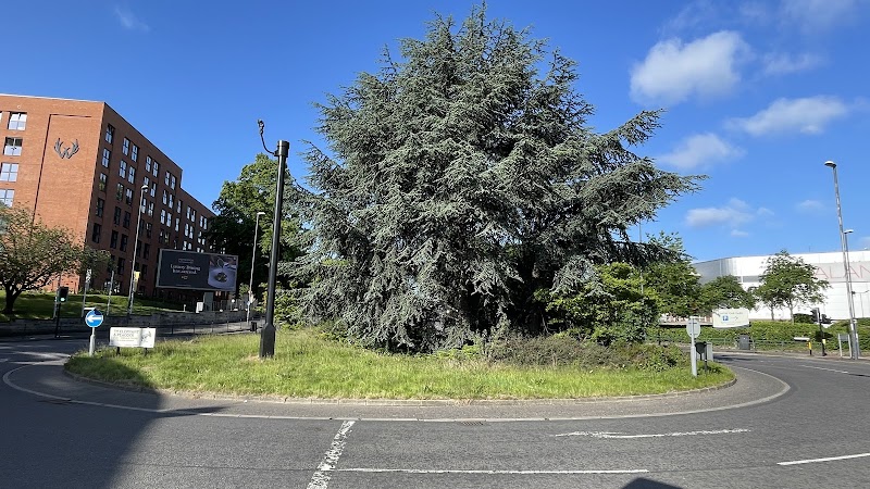 Royal Lancers Island