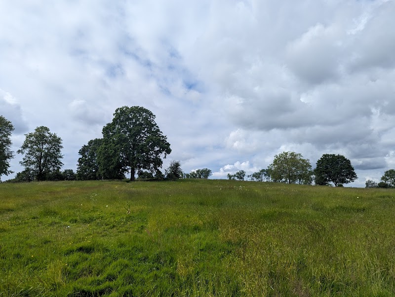 One Tree Hill Recreation Ground