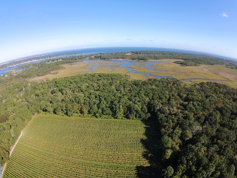 DNRT Dike Creek Reserve
