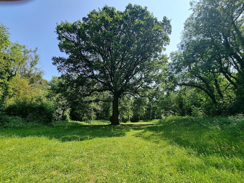 Tongwynlais Picnic Area