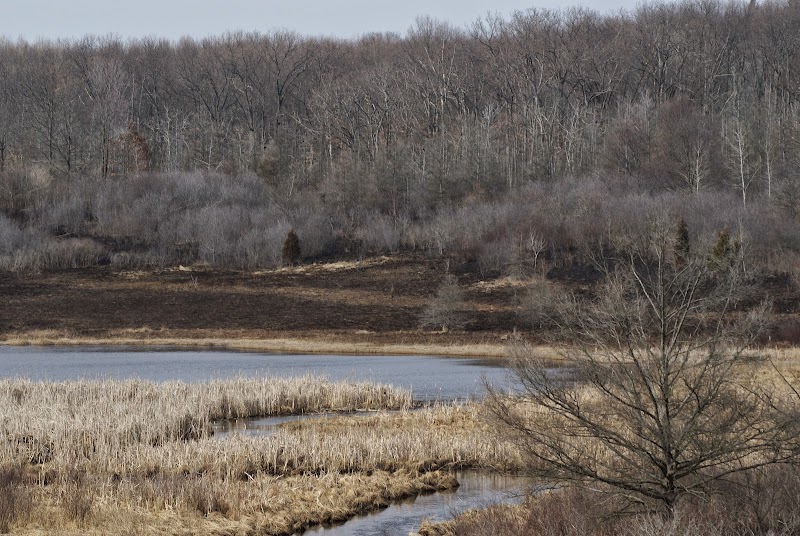Shiawassee Basin Preserve Trailhead Parking