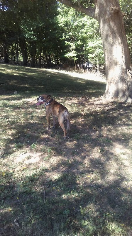 Riverview Recreation Center