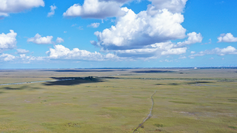 Everglades National Park Tours