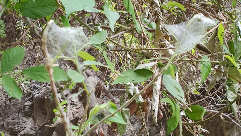 Barranco del Infierno