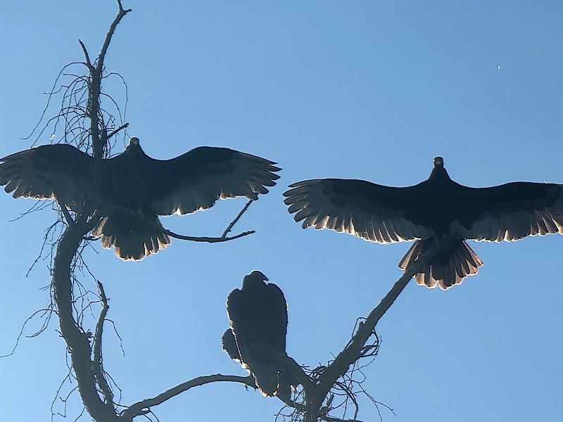 Sanatoga Park Fields