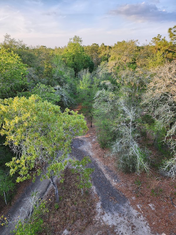 Withlacoochee River Park Tower