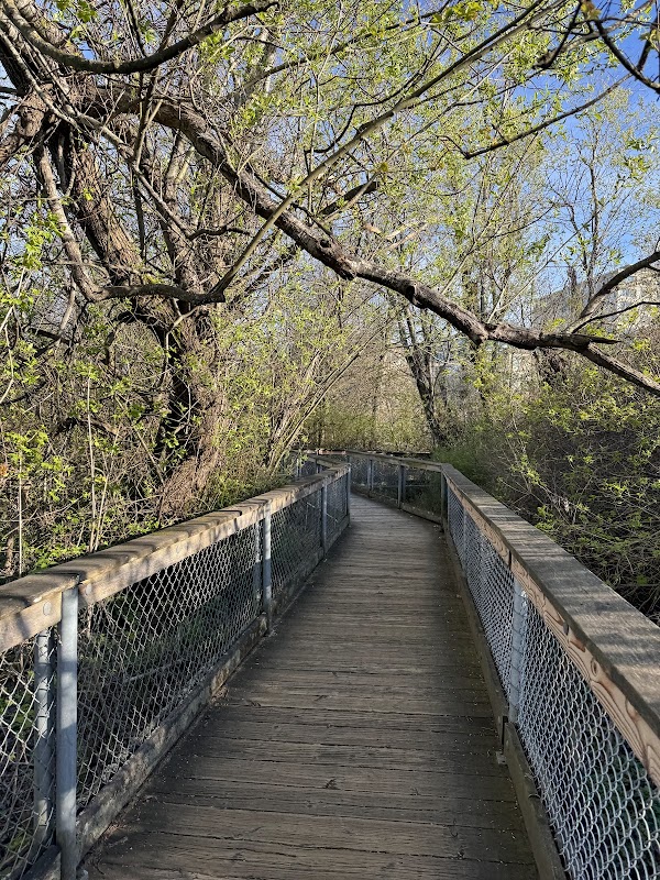 Gene Coulon Bird Island
