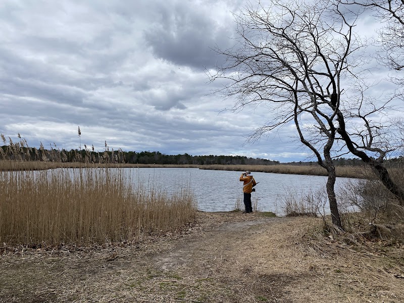 Indian Landing, Wertheim National Wildlife Refuge