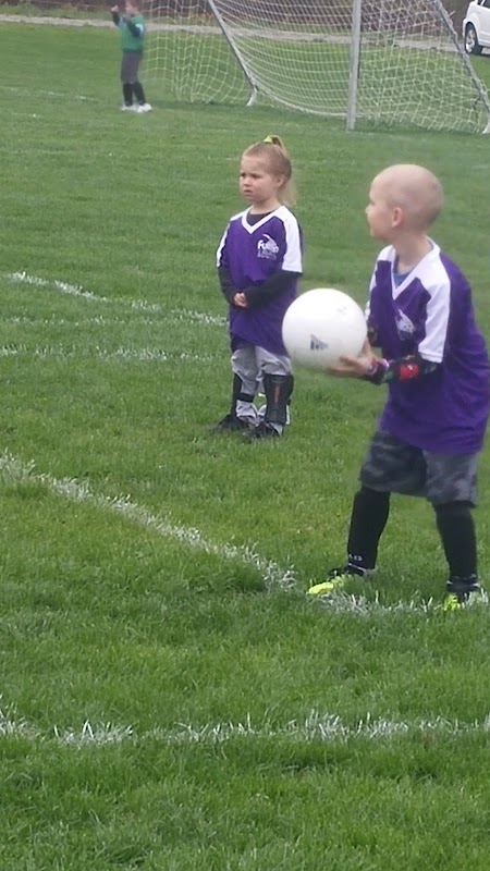 Oswego Valley Modelaires