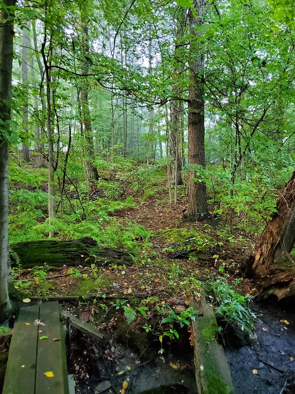 Pond Meadow Preserve