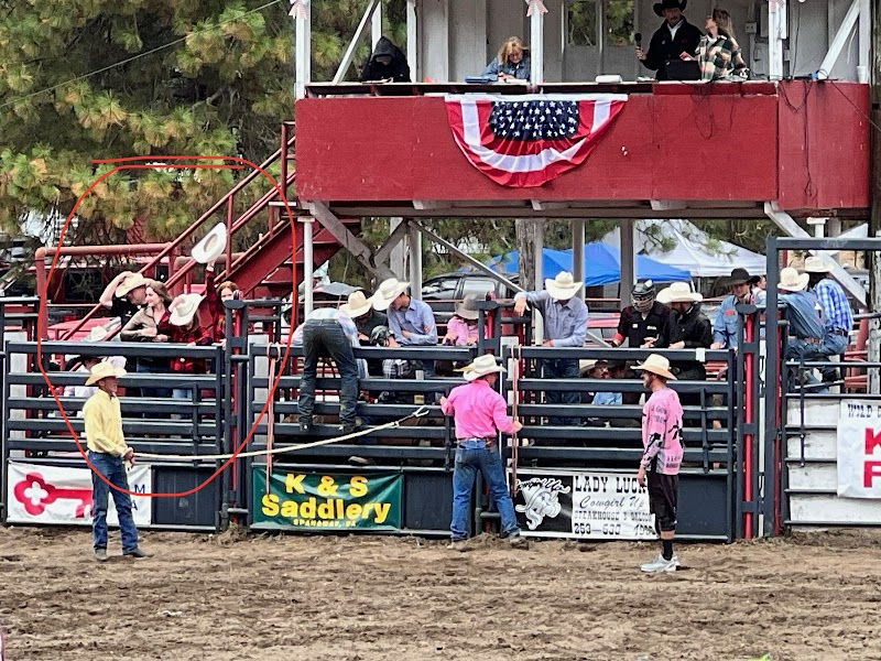 Roy Pioneer Rodeo