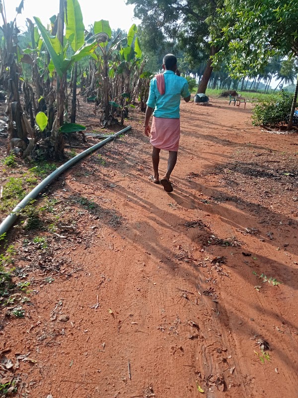 Hester Park Facility