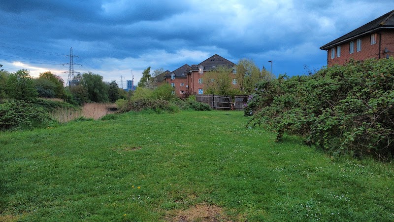 River Roding Green Space