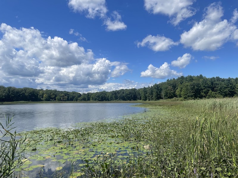 Addison Township Watershed Preserve