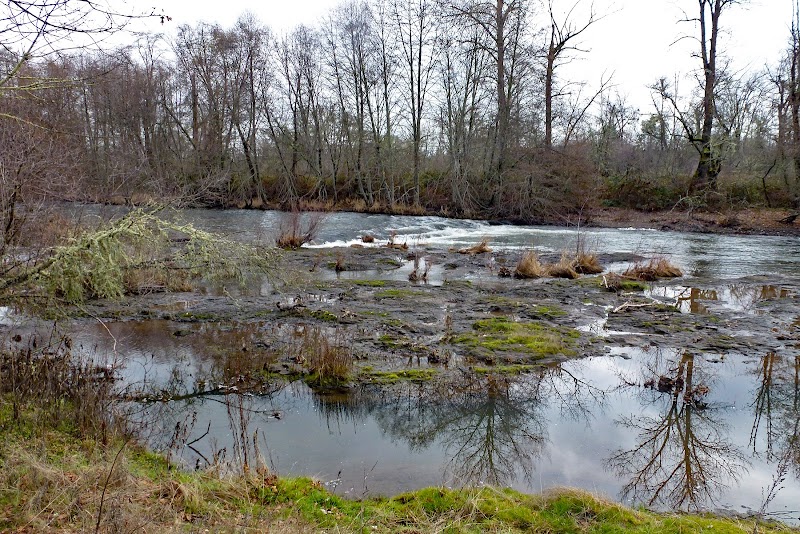 ODFW Nature Walk