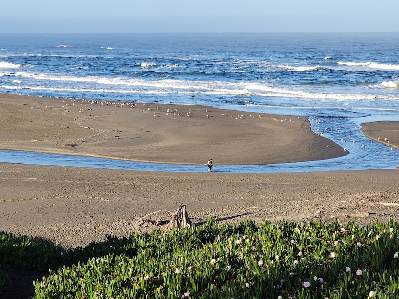 Salmon Creek State Beach