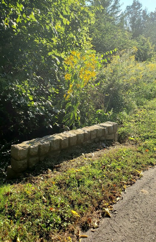 Mill Creek Greenway