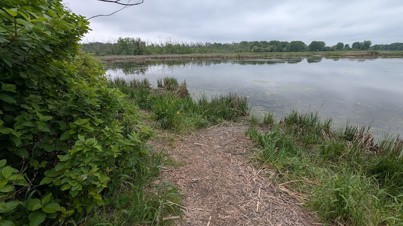 Friends of Petrie Island