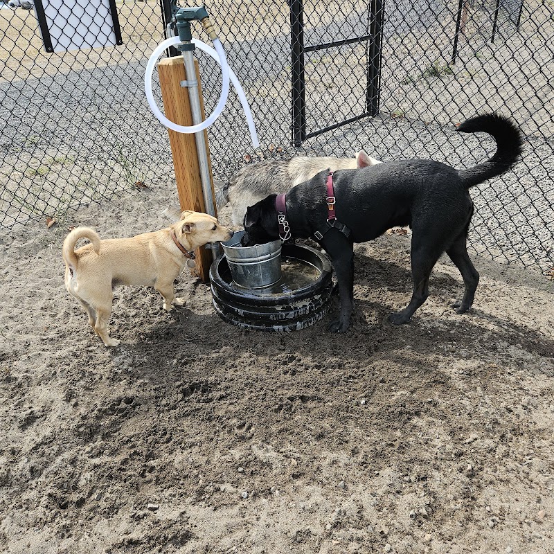 Willow Grove Dog Park