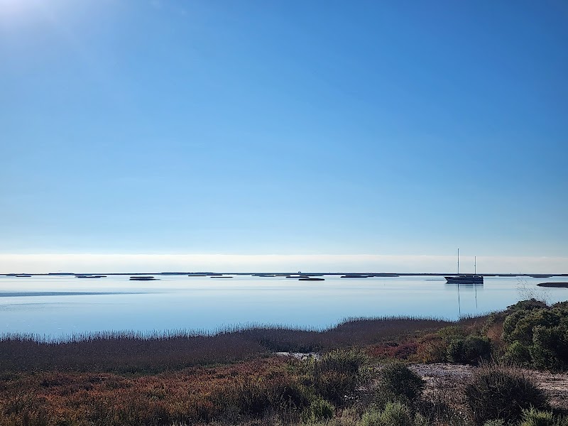Sonoma Baylands Trail