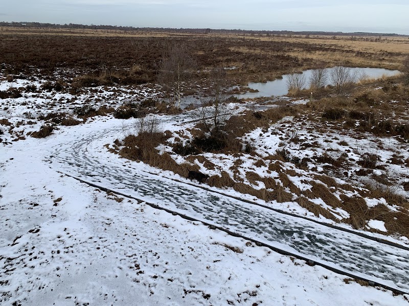 New Viewing Platform