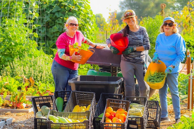 Canyon Springs Garden Outreach