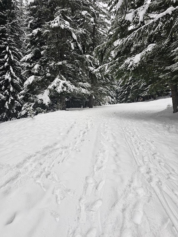 Halfcamp Trailhead