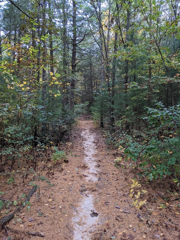 West Hills Nature Preserve