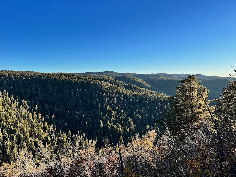 Osha Trail Trailhead