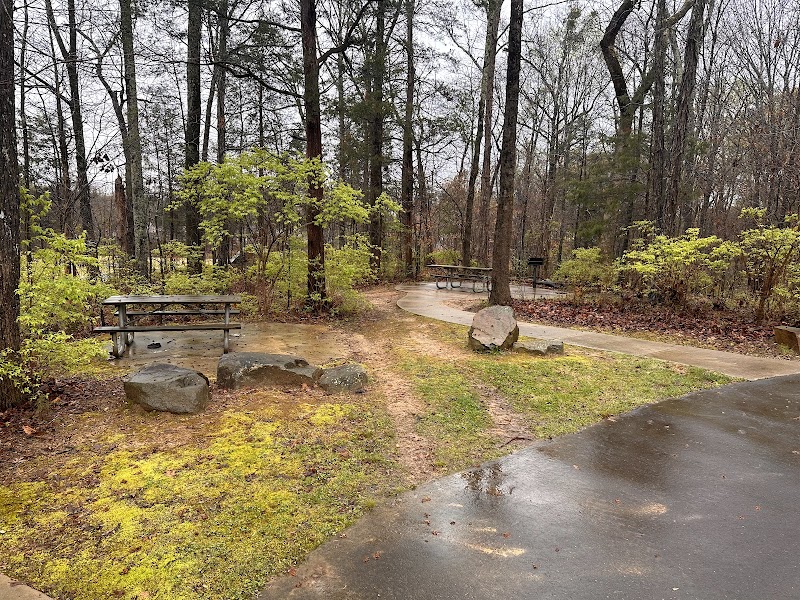 Forest Pawtuckett Park