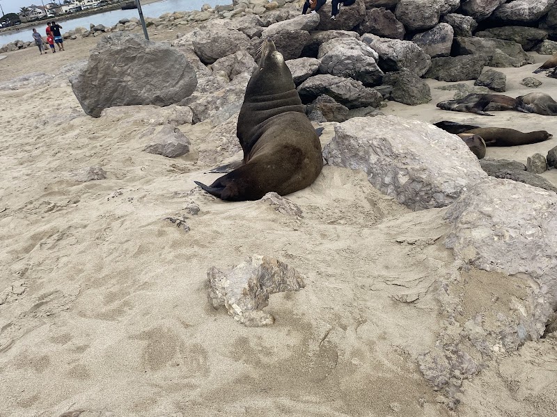 Memorial Seal Statues