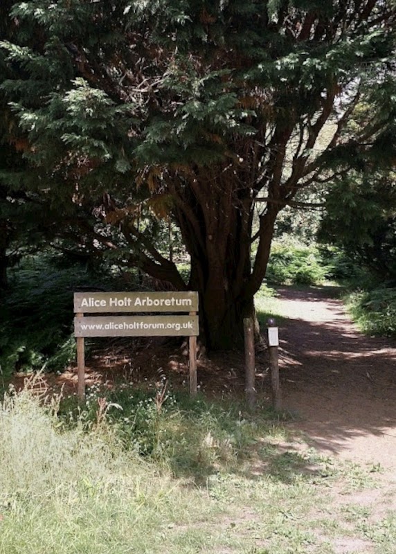 Alice Holt Forest Arboretum