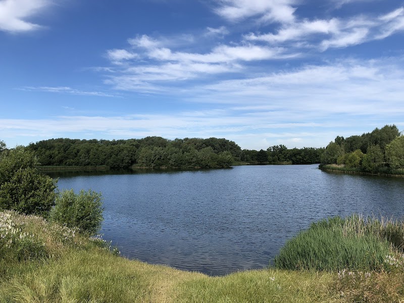 Bedfont Lakes Country Park