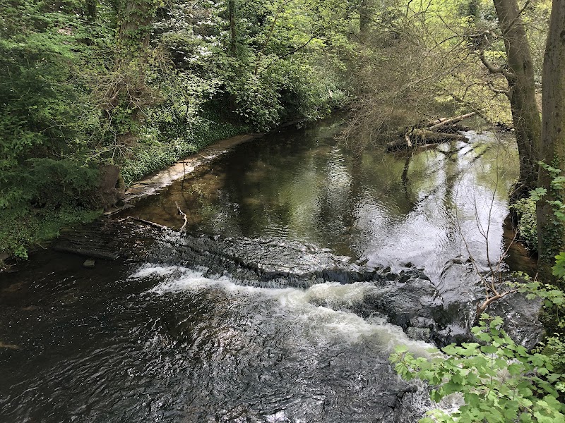 Bollin Valley Way Boardwalk