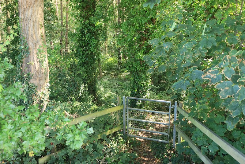 Black Firs Wood Nature Reserve