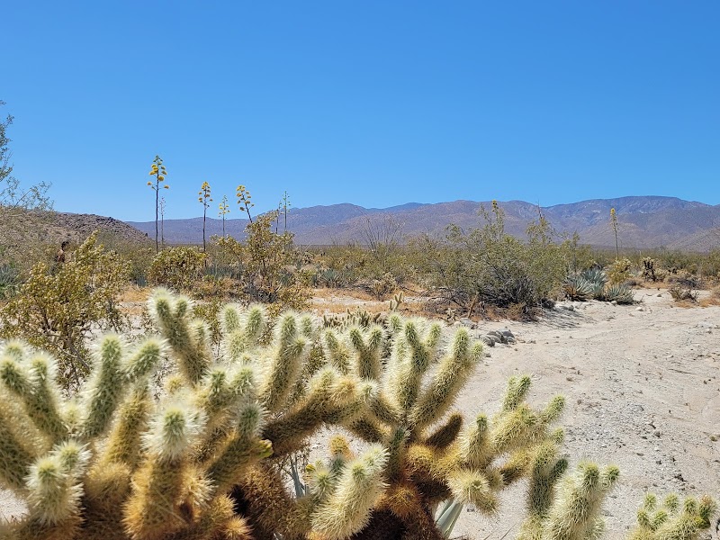 Mine Wash