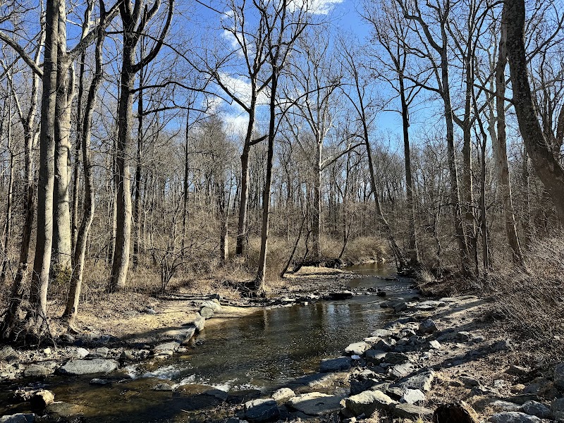 Paint Branch Stream Trail Serpentine Way