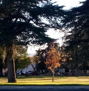 Greenspace @ highland