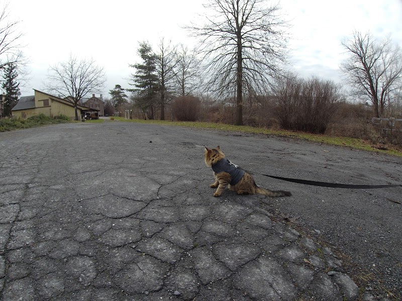 Historic Catasauqua Preservation Association