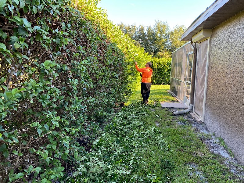 Gods hands landscaping