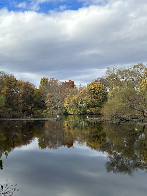 Piacentini Nature Preserve