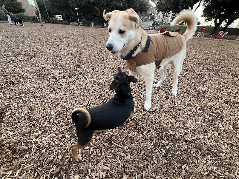 Domain Park Picnic Area