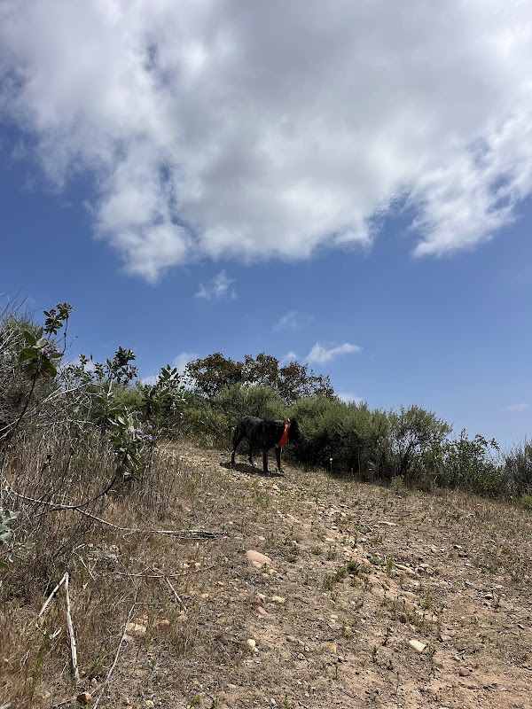 Tecolote Canyon