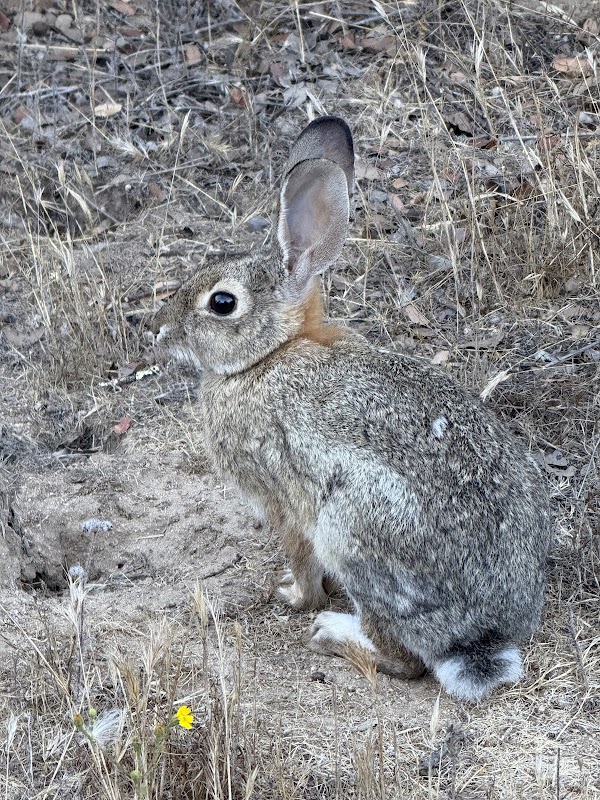 Hidden Valley Trail Head